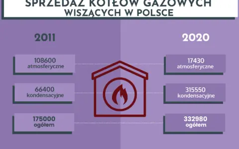 Wybór kotła gazowego CO: Uniknij błędów, zyskaj komfort i oszczędności
