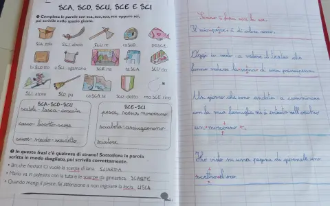 Esercizi con parole con sc suono duro: scatola, sciarpa, scena, sciatore.