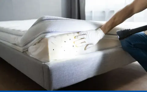 Persona con guantes revisa un colchón con linterna, detectando chinches. Esencial para el control de plagas de chinches y un hogar saludable.