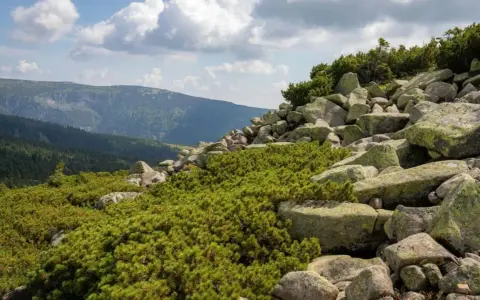 Karkonosze – jakie formy rzeźby terenu skrywają te góry?