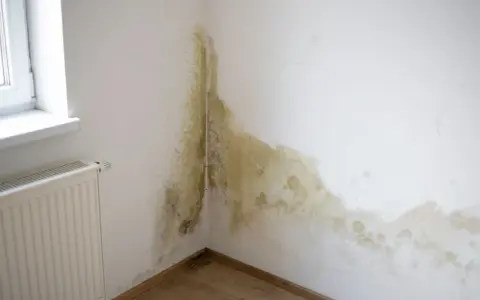 Manchas de moho y humedad en la esquina de una pared blanca, cerca de una ventana y un radiador. Es hora de pintar humedades.