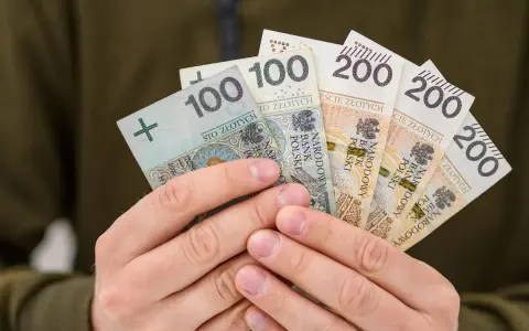 Dłonie trzymają polskie banknoty: 100 i 200 zł. Może to być zwrot OC dla niepełnosprawnych lub po prostu wypłata.