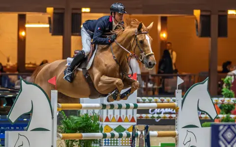 Cavalier et cheval en plein saut d'obstacles, une scène digne de dubai du cedre.