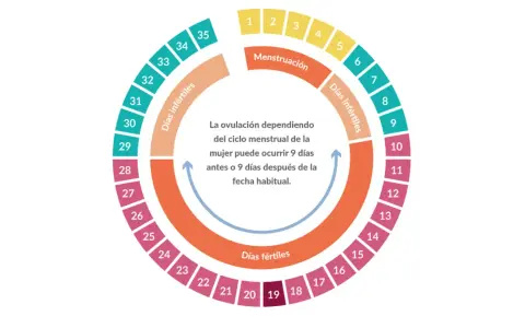 Diagrama circular del ciclo menstrual, mostrando días fértiles, infértiles y menstruación. Una regla rara para calcular la ovulación.