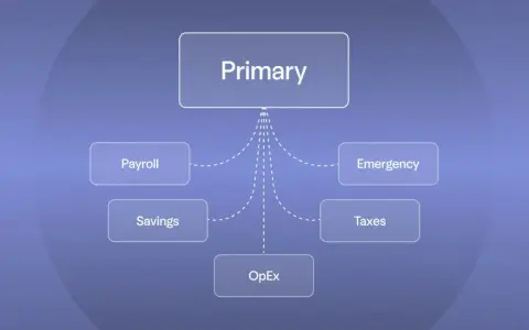 Diagram showing a "Primary" account connected to multiple business checking accounts: Payroll, Savings, OpEx, Emergency, and Taxes.