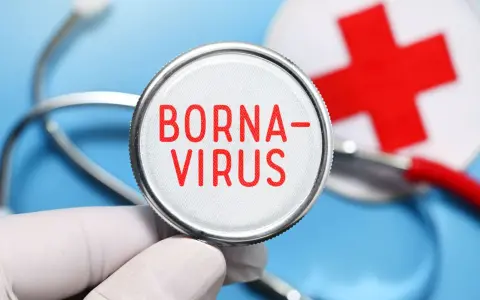 Borna Virus Symptome: Warnsignale, die Sie nicht ignorieren sollten