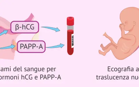 Esami del sangue per ormoni hCG e PAPP-A, ecografia a traslucenza nucale: il tri test per la salute del feto.