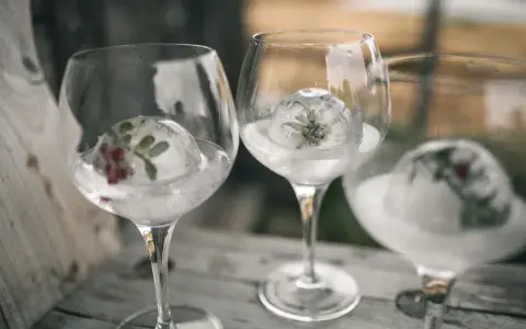 Drei Gläser mit Gin Tonic Water, gefrorene Eisbälle mit Kräutern und Beeren.
