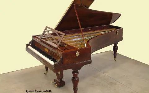Prawdziwe brzmienie Chopina: fortepiany Pleyel, Erard, Buchholtz