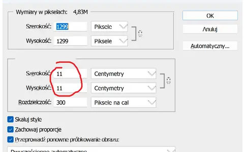 Ustawienia rozmiaru obrazu: 11x11 cm, rozdzielczość 300 dpi. Zachowanie proporcji włączone.