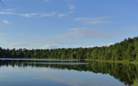 Idyllischer Bullensee in Rotenburg, umgeben von dichtem grünen Wald, spiegelt sich im ruhigen Wasser unter blauem Himmel mit Wolken.