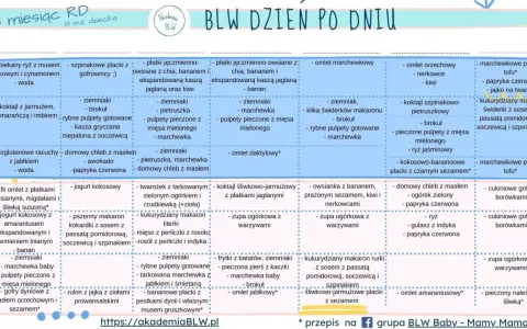 Menu BLW na 3 miesiące: zapiekany ryż, pulpety rybne, omlety, zupy warzywne i inne zdrowe propozycje dla malucha.