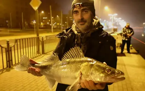Szczecin rzeka nocą. Wędkarz z okazałym sandaczem na tle oświetlonej promenady.