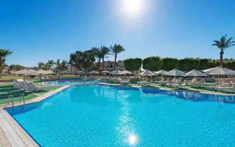 Reef Oasis Beach Resort: Guida Completa e Recensioni 2024