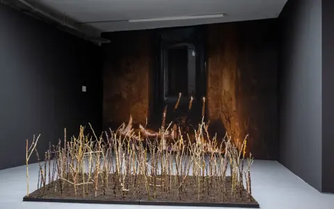 Muzeum sztuki współczesnej Wrocław - odkryj fascynujące wystawy i wydarzenia