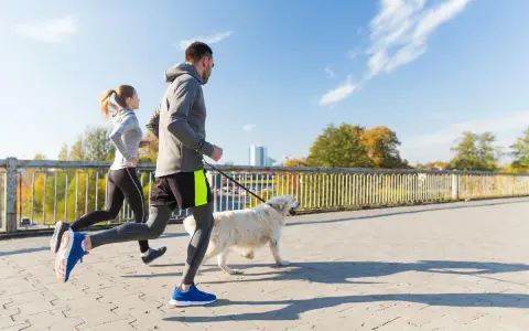 Coppia che corre con il cane su un ponte in una giornata di sole.