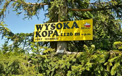 Żółta tablica na drzewie informuje: Wysoka Kopa, najwyższy szczyt Gór Izerskich, 1126 m n.p.m.