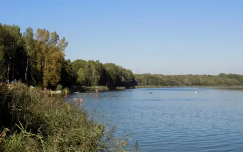 Letnie popołudnie nad jeziorem Rogoźnik. Ludzie kąpią się i odpoczywają na plaży wśród zieleni.