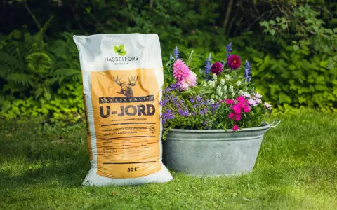 En säck U-jord från Hasselfors Garden står bredvid en zinkbalja fylld med färgglada blommor, redo att plantera.