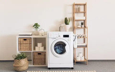 Une buanderie bien aménagée avec une machine à laver, des paniers en osier, des étagères en bois et des plantes vertes pour une touche de fraîcheur.