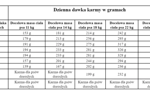 Ile karmić szczeniaka, aby zapewnić mu zdrowy rozwój i wagę?