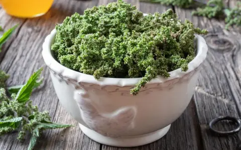 Schale mit Brennesselsamen, die ihre positive brennesselsamen wirkung für die Gesundheit andeuten. Daneben ein Glas mit gelber Flüssigkeit.