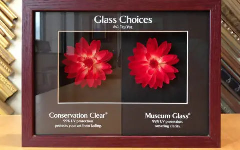 Comparing plexiglass vs glass frame options for art protection. The left shows Conservation Clear, the right Museum Glass, both with red flowers.