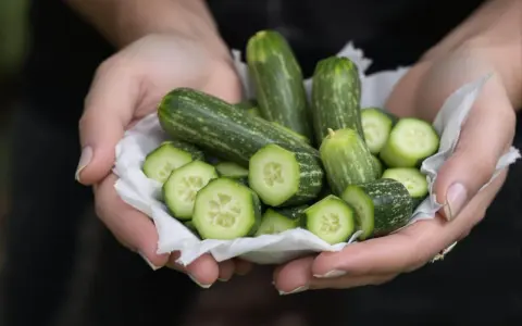 Mains tenant une coupe de petites courgettes entières et tranchées, prêtes à pincer les courgettes pour une salade fraîche.