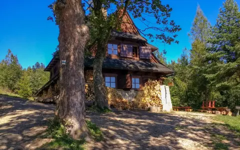 Drewniana koliba na Łapsowej Polanie, otoczona lasem i stertami drewna. Widać dwa duże drzewa z przodu.