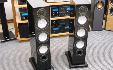 Dwie eleganckie kolumny głośnikowe Monitor Audio RX8 w czarnym połysku, stojące na szarym dywanie, obok sprzętu audio.