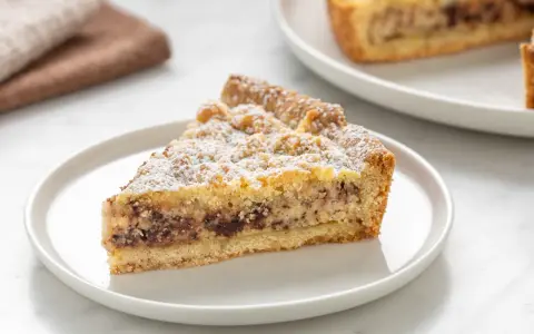 Una fetta di torta ricotta e cioccolato cosparsa di zucchero a velo su un piatto bianco.