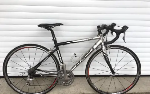Silbernes Rennrad DYNAMICS RSL COMP mit schwarzen Akzenten, bereit für die nächste Fahrt.