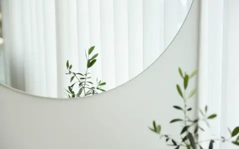 Odbicie gałązki oliwnej w okrągłym lustrze, które można łatwo przykleić do ściany. Białe zasłony w tle.
