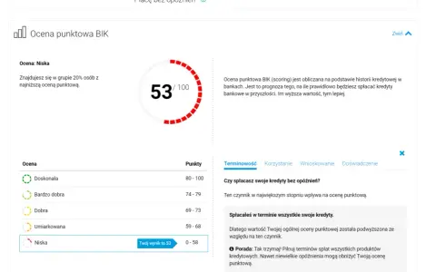 Ocena punktowa BIK (scoring) to 53/100. Niska ocena oznacza, że jesteś w grupie 20% osób z najniższym scoringiem.