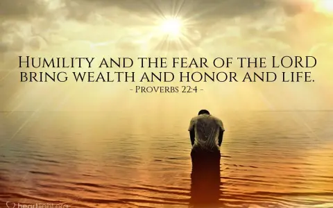 A person kneels in water as the sun shines brightly, illustrating that god lifts up the humble.