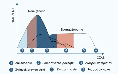 Wykres pokazuje etapy związku: od zauroczenia, przez namiętność, intymność, zaangażowanie, aż po rozpad. Brak relacji z mężem może oznaczać etap pustego związku.