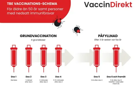 Schema för TBE-vaccination, inklusive grundvaccination och påfyllnad. Viktigt att fylla på grundskydd vaccin för att bibehålla immunitet.