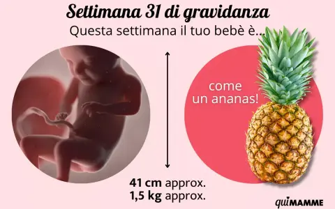 A 31 settimane di gravidanza, il tuo bimbo è grande come un ananas! Pesa circa 1,5 kg.