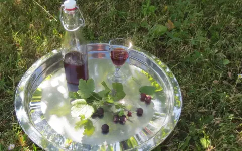 Ein Glas und eine Flasche mit dunklem Saft, garniert mit Jostabeeren und Blättern, auf einem Tablett im Gras. Perfekt für Jostabeere Rezepte.