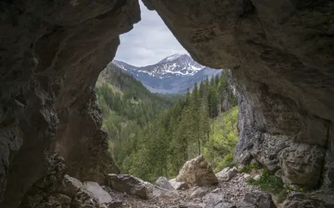 Widok z jaskini w Tatrach na ośnieżone szczyty i gęsty las.