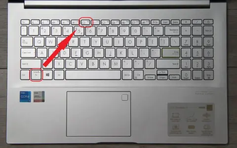 Klawisz Fn+Esc do włączenia touchpada HP.