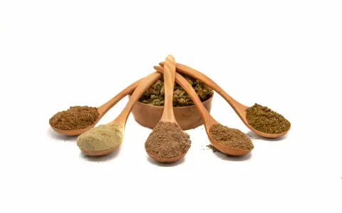 Fünf Holzlöffel mit verschiedenen Pulvern, die aus einer Schale mit getrockneten Pilzen ragen. Ideal für die Unterstützung beim Abnehmen mit Vitalpilzen.