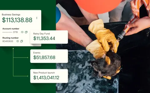 A nonprofit's reserves: $113k business savings, $11k rainy day fund, $51k events, and $1.4M for a new product launch.