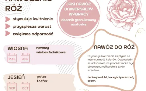 Domowy nawóz do róż stymuluje kwitnienie, przyspiesza wzrost i zwiększa odporność. Stosuj wiosną i jesienią.