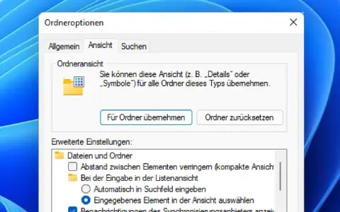 Fenster "Ordneroptionen" in Windows 11. Hier werden die Ansichtseinstellungen für Ordner verwaltet, z.B. ob Details oder Symbole angezeigt werden.