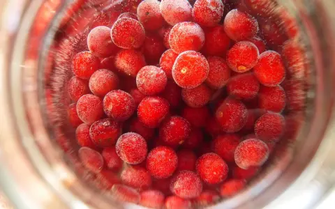 Czerwone wiśnie w słoiku, gotowe na pyszny kisiel. Niska zawartość kcal, idealny deser.