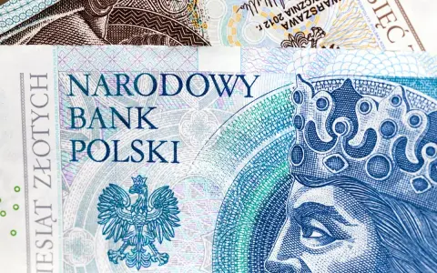 Ile zarobisz na stażu w 2026? Mediana 4930-6980 zł brutto!