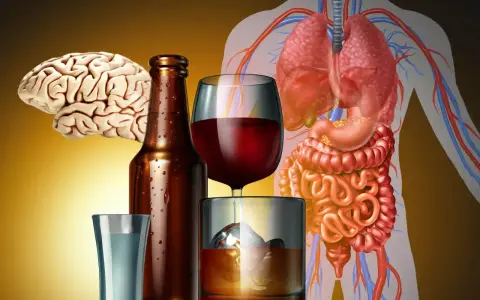 Mózg, płuca, żołądek i jelita w tle, obok butelki piwa, kieliszka wina i szklanki whisky. Zastanawiasz się, butelka wina ile to piw?