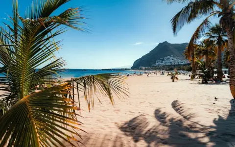 Słoneczne plaże Teneryfy z palmami w tle i górami. Idealne miejsce na relaks.