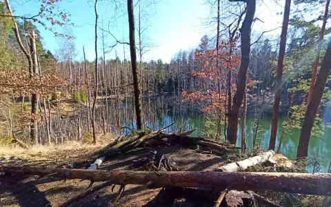 Wczesnowiosenny krajobraz w lasach Orleanu. Jezioro odbija niebo, a na brzegu leżą powalone drzewa.